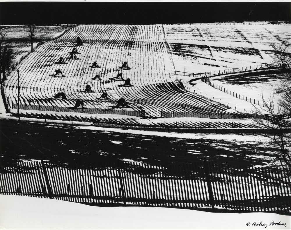 28-042 (click for large image)